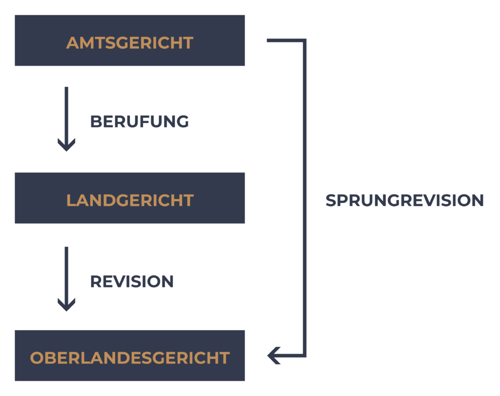 Unterschied Zwischen Berufung Und Revision revisionstrafrecht.de